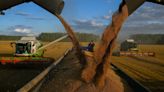 EU's duty on Russian grain will hit EU countries, Russia watchdog says