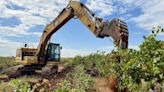 Australian farmers rip out millions of vines amid wine glut