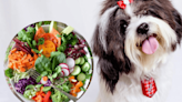 Mascotas: Verduras que puedes dar como "premios" a tu perro