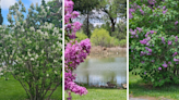 Cheyenne Botanic Gardens Host Nature Walk at High Plains Arboretum Friday