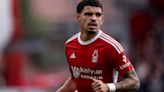 Nottingham Forest vs Crystal Palace: How to watch live, stream link, team news