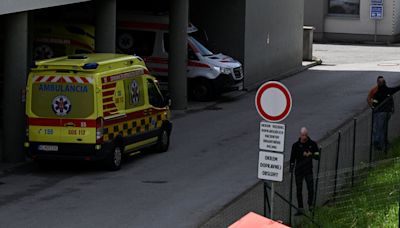 Slovak Prime Minister Leaves Hospital 2 Weeks After Assassination Attempt