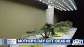 What the Tech: Mother's Day Gifts #3