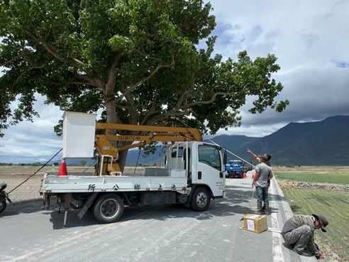 凱米暴風圈擴大 台東金城武樹被「五花大綁」 周邊道路禁止進入 - 生活