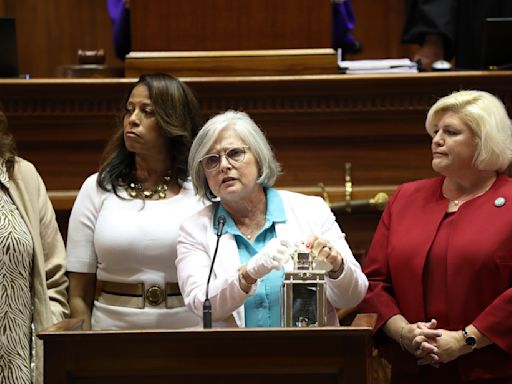 Voters kick all the Republican women out of the South Carolina Senate
