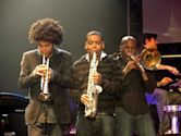 Horn section