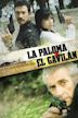 La paloma y el gavilán