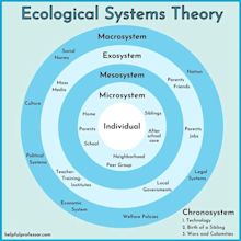 5 Mesosystem Examples & A Simple Definition (Bronfenbrenner) (2024)