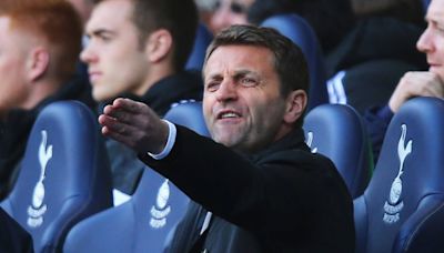 'As mad as it looked outside, it was more so inside' - Tim Sherwood's reign at Spurs