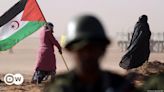 France backs Moroccan claim over disputed Western Sahara – DW – 07/30/2024