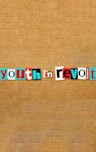 Youth in Revolt (film)