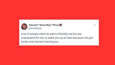 26 Of The Funniest Tweets About Cats And Dogs This Week (May 18-24)