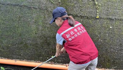 毛寶貝也要防颱！新北動物之家清水溝、加強門窗固定