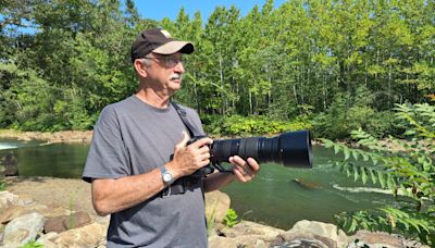 Elk expert, photographer share insights on unique, unusual elk and offer tips to see them