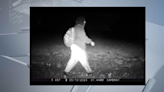 Jefferson County Sheriff's Office releases video of person of interest