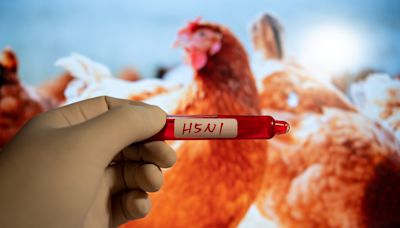 Fact Check: Could bird flu kill one in four Americans?