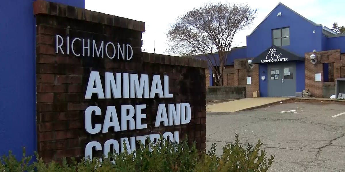 Pit bull dies after being found tied up in trash bag in the woods, officials say