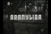 Aranyliba