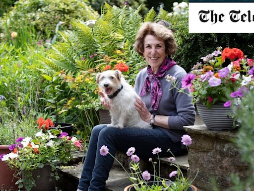 Edwina Currie: ‘I scattered my late husband’s ashes around our roses’