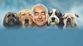 Cesar Millan: Better Human Better Dog Season 4: How Many Episodes & When Do New Episodes Come Out?