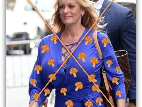 Image of Stormy Daniels in mushroom dress is altered