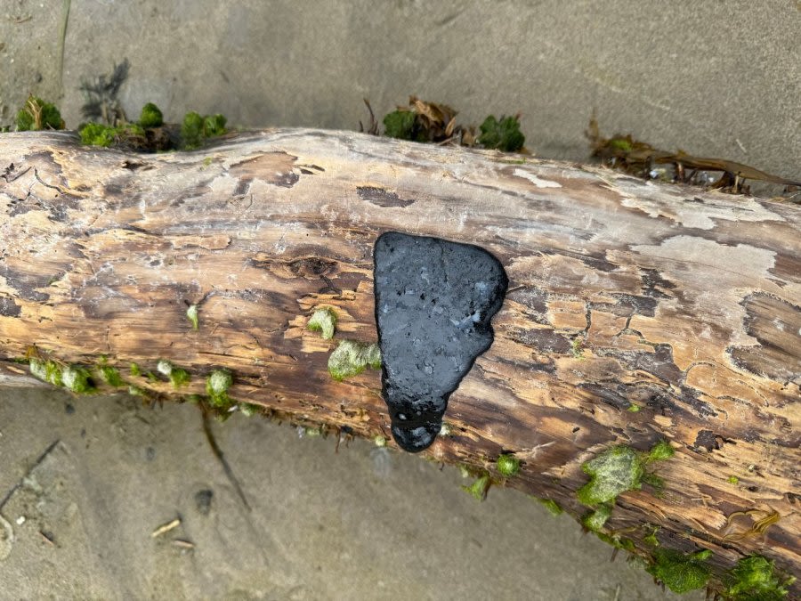 Mysterious ‘tar patties’ wash up on Oregon Coast