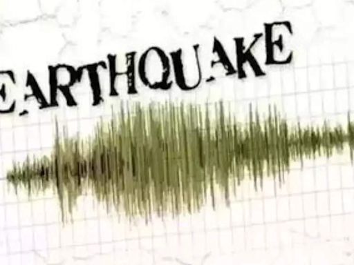 Earthquake of magnitude 4.5 hits Maharashtra's Hingoli; no casualty reported - The Economic Times