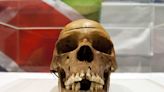 African skulls pillaged during German colonial rule have been matched to living relatives after DNA tests