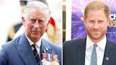 Why King Charles and Prince Harry Are No Longer Speaking