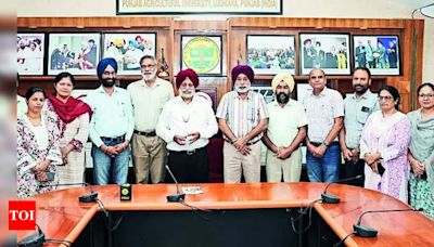 PAU honored with ‘Innovator in Wheat & Wheat Products Research’ Award | Ludhiana News - Times of India