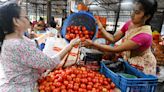 Govt. steps in as tomato prices breach the ₹100-mark in Vizag