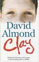 Clay (novel)