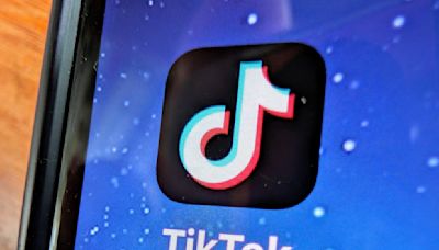 TikTok Is Ticked Off — and Suing to Halt U.S. Ban