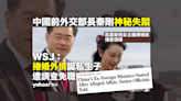 WSJ：中國前外長因婚外情免職 黨調查有否違國安