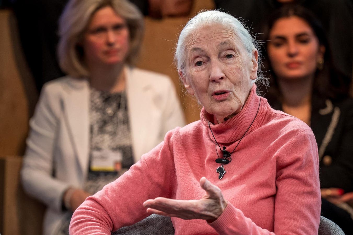 Sunday Conversation: Jane Goodall On Her Mission In 2024, Giving Hope