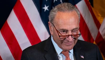 Schumer points to ‘serious disagreements’ as reason for not shaking Netanyahu’s hand