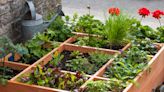 This low-effort vegetable gardening method is a genius way to grow crops in a small backyard