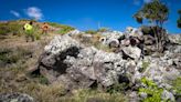 'It’s the people that mess it up': Why Kaena Point could be Hawaii's first national heritage area