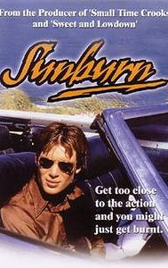 Sunburn (1979 film)