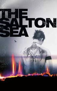 The Salton Sea