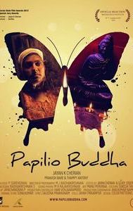 Papilio Buddha