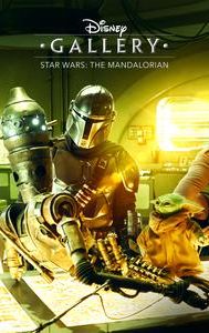 Disney Gallery: Star Wars: The Mandalorian