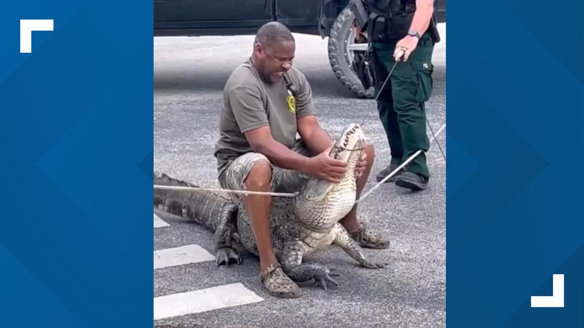 Close call: Trapper gets in brief tussle with gator near elementary school