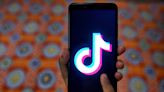 What to Know About TikTok’s Blockparty and Operation Olive Branch