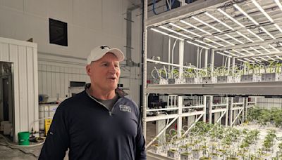 Ex-trooper, now a cannabis grower, wants answers on fake weed inaction