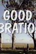 Good Vibrations (miniseries)