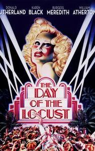 The Day of the Locust