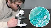 Bresser Biolux NV 20-1280x microscope review