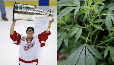 Marijuana helped former NHL champion Darren McCarty beat alcoholism, he says. 'I would've been dead without it.'