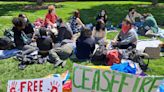 University of Delaware students join growing dissent against war in Gaza across campuses